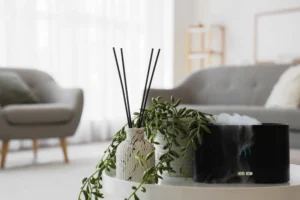 What Are Fragrance Diffusers?
